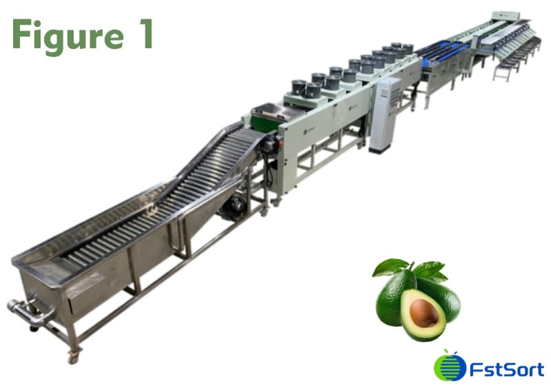 images/1659598755478avocado prcessing machine.jpg